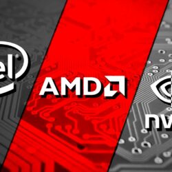 amd nvidia