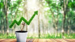 Green Marketing nedir, nasıl yapılır? 16 1 6