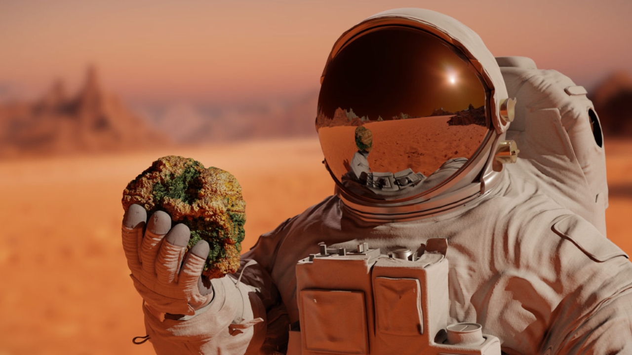 mars su var mi SDN IC