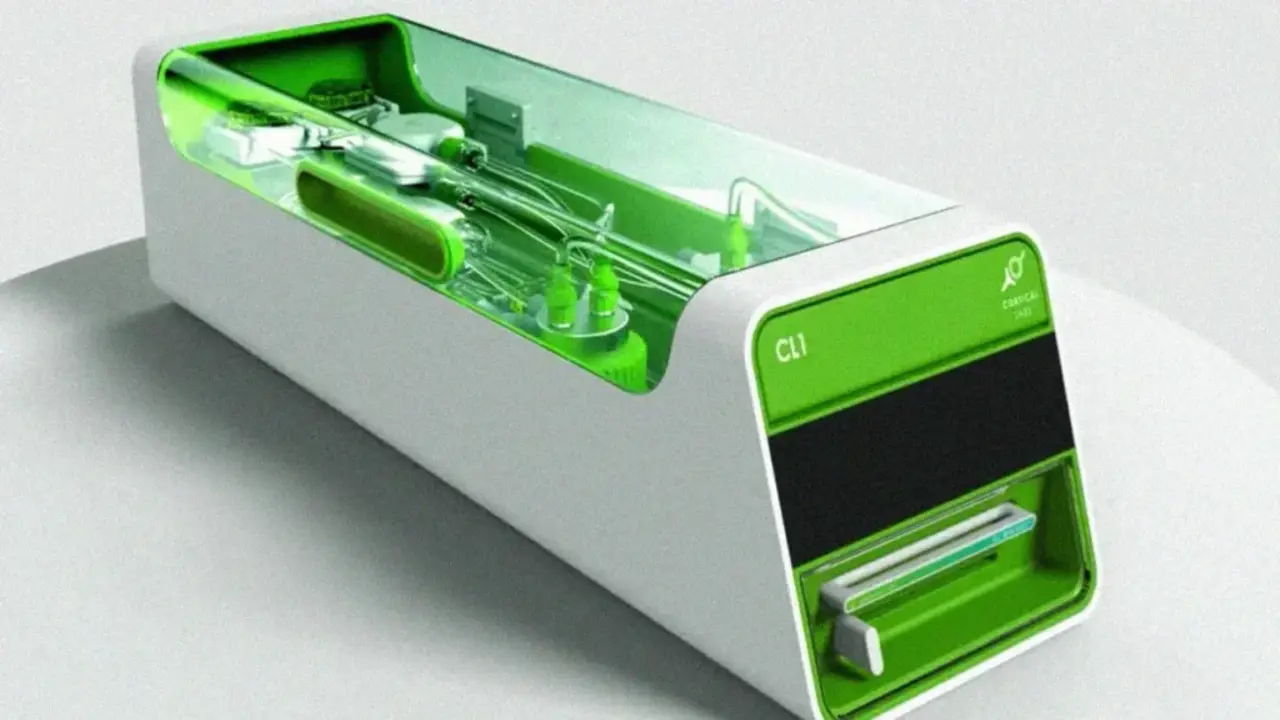 Insan beyin hucrelerinden bilgis.webp