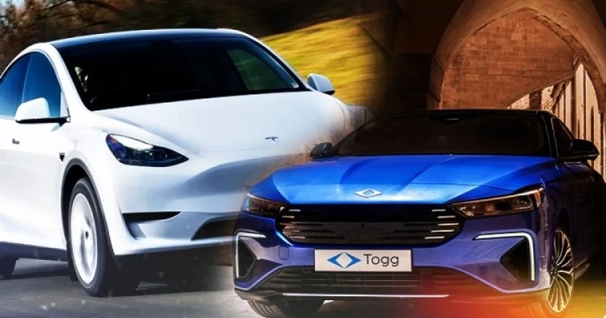 Tesla Togg.webp