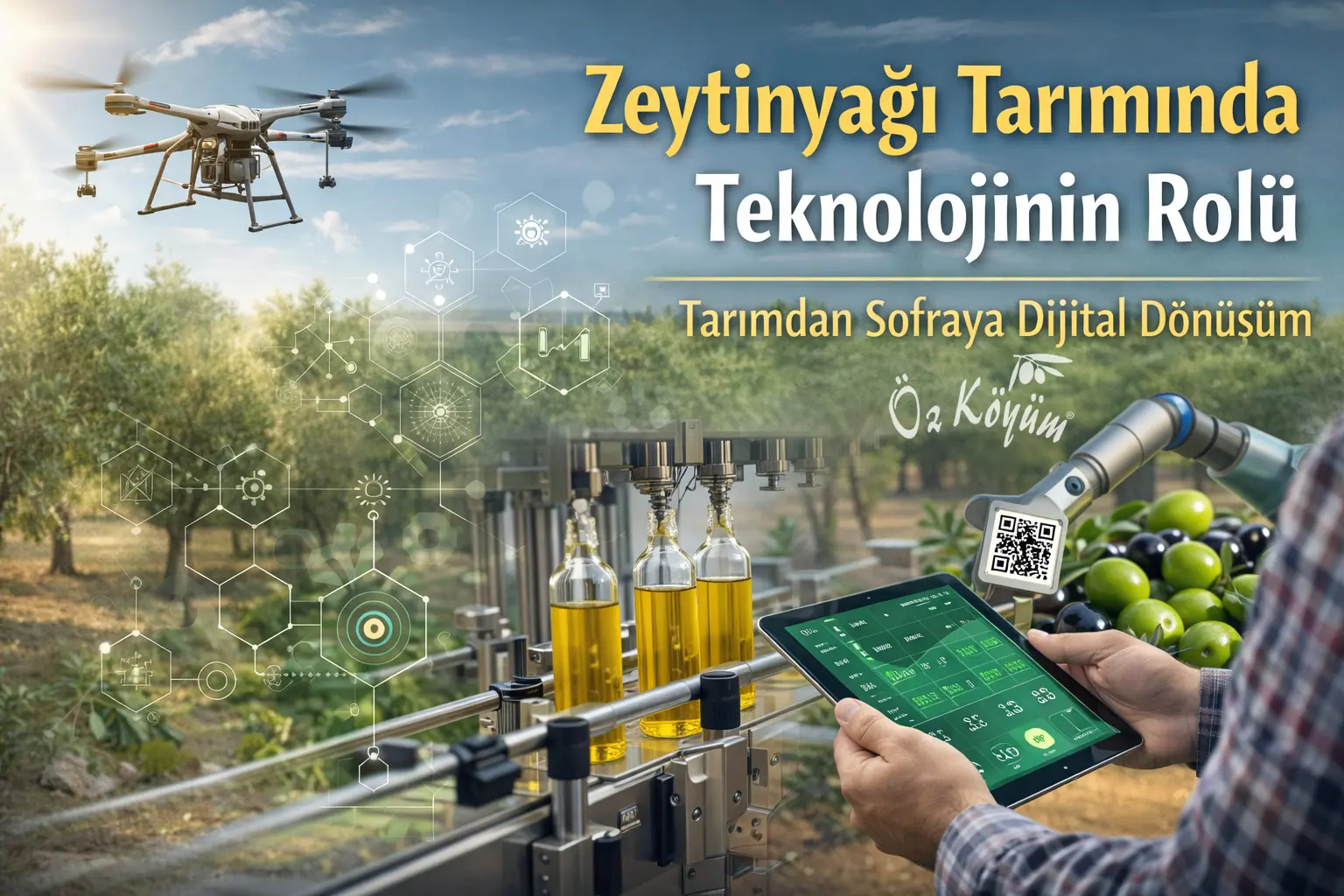 Zeytinyağında Dijital Dönüşüm: Tarımdan Sofraya Teknolojinin Rolü 5 ozkoyum gorsel.jpg.webp